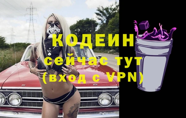 дживик Лагань