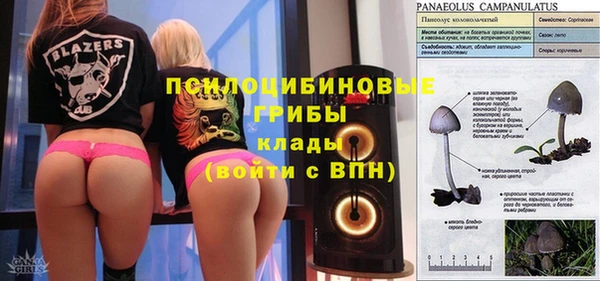 таблы Лабытнанги
