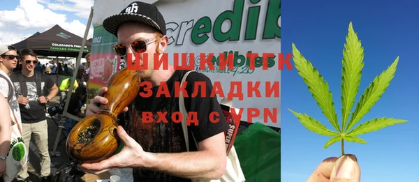 дживик Лагань