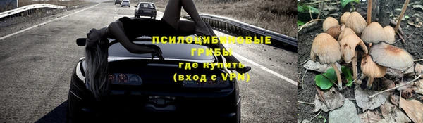 эйфоретик Ладушкин