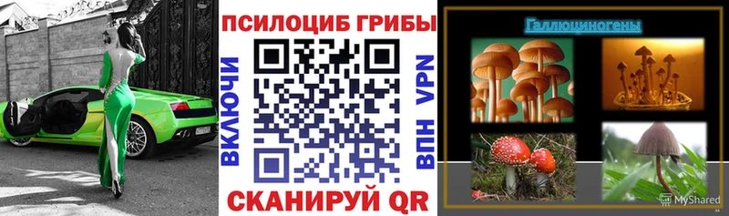 MEGA онион  где купить наркоту  Благодарный  Галлюциногенные грибы Cubensis 