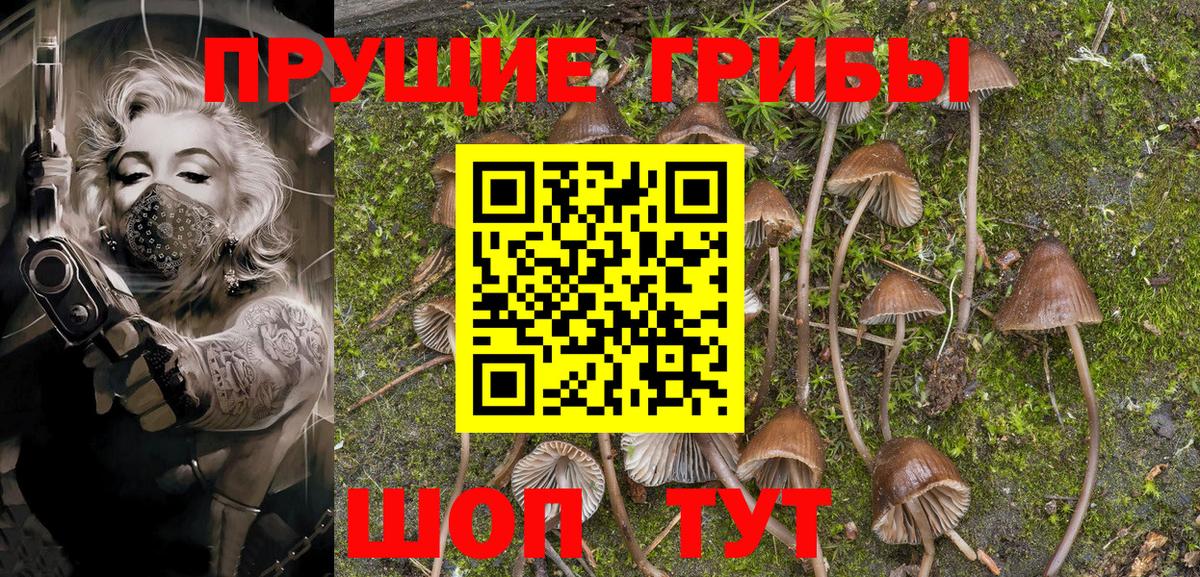 Галлюциногенные грибы прущие грибы  Благодарный 