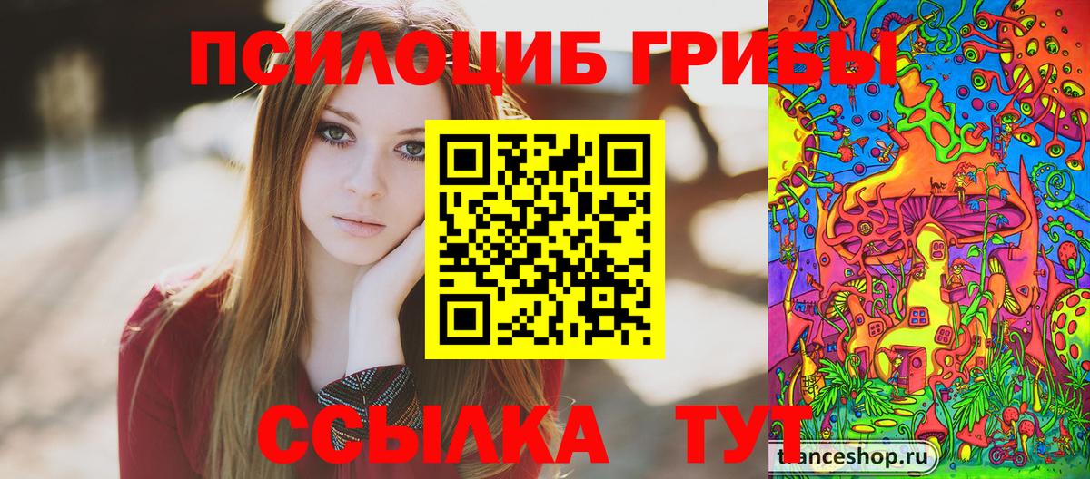 Галлюциногенные грибы Psilocybine cubensis  Вход с VPN  Благодарный 